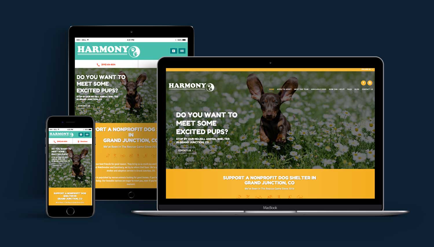 harmony animal matchmaker and sanctuary  townsquare interactive website